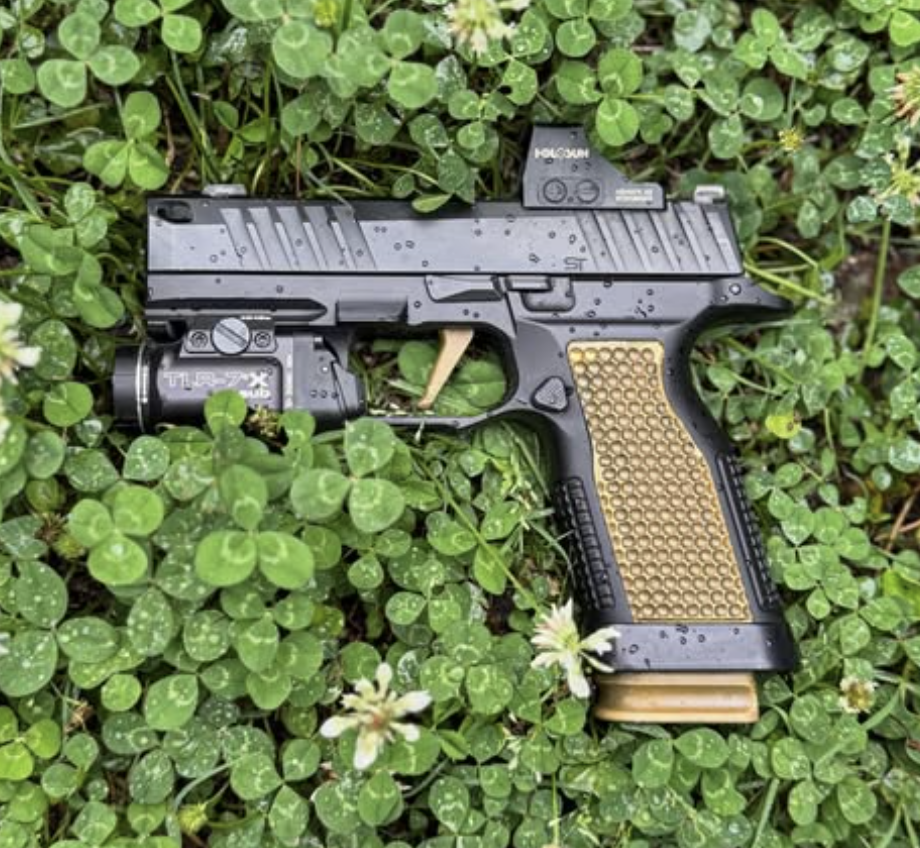 sig sauer p365